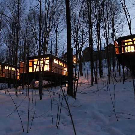 Cabin Sutton 252 - En Harmonie Avec La Nature! 빌라 외부 사진