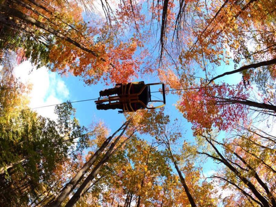 Cabin Sutton 252 - En Harmonie Avec La Nature! 빌라 외부 사진