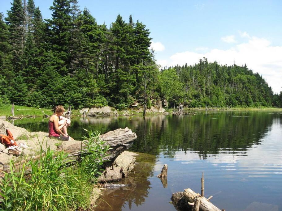 Cabin Sutton 252 - En Harmonie Avec La Nature! 빌라 외부 사진
