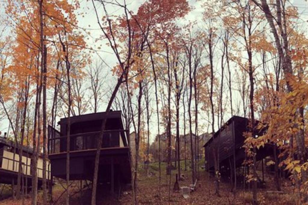 Cabin Sutton 252 - En Harmonie Avec La Nature! 빌라 외부 사진